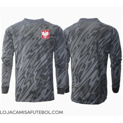 Camisa de Futebol Polónia Goleiro Equipamento Secundário Europeu 2024 Manga Comprida